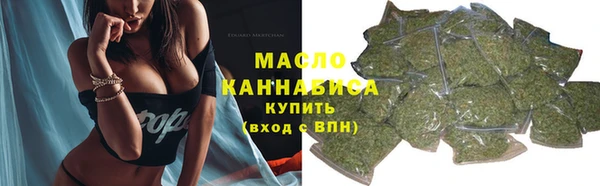 МДПВ Инсар