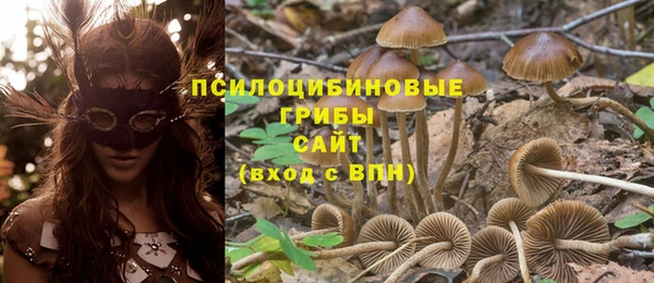 соль ск Инта