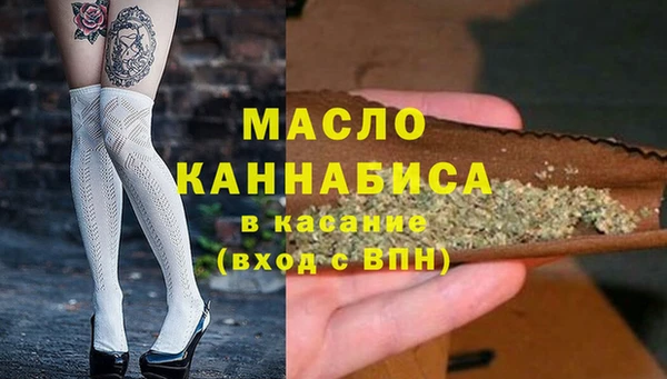 МДПВ Инсар
