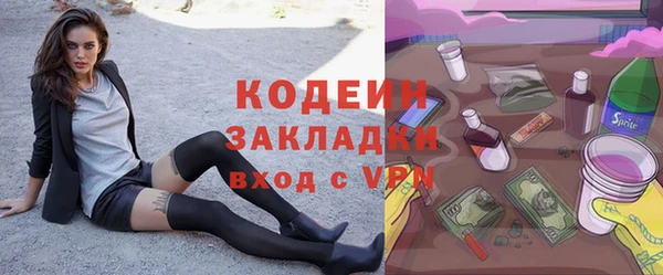 МДПВ Инсар