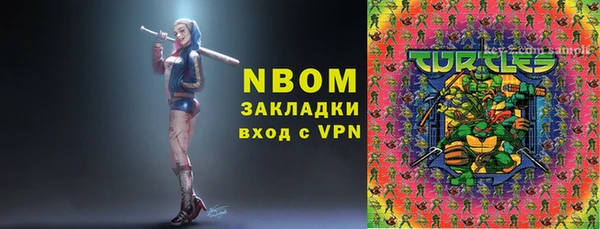 МДПВ Инсар