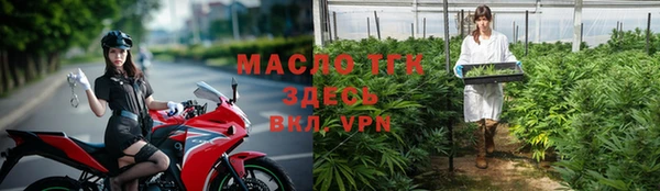 МДПВ Инсар