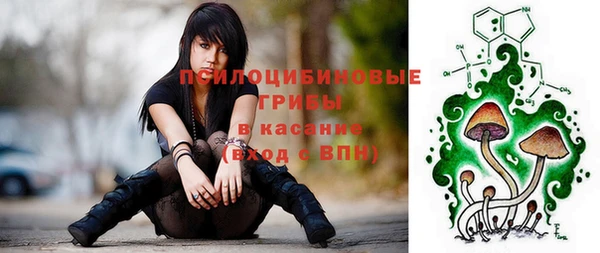 МДПВ Инсар