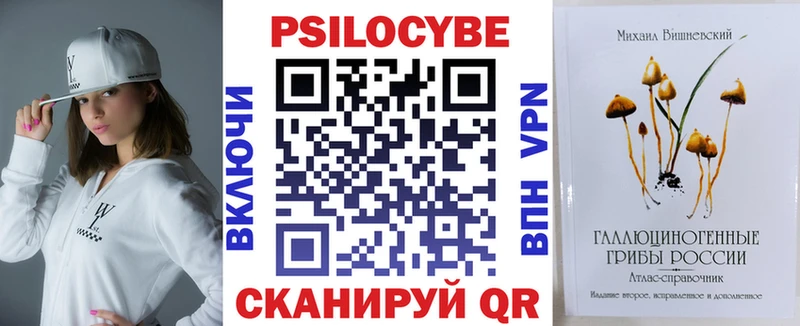 Купить где  Белоозёрский  Галлюциногенные грибы Psilocybine cubensis 